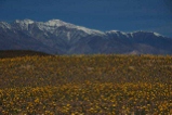 death valley